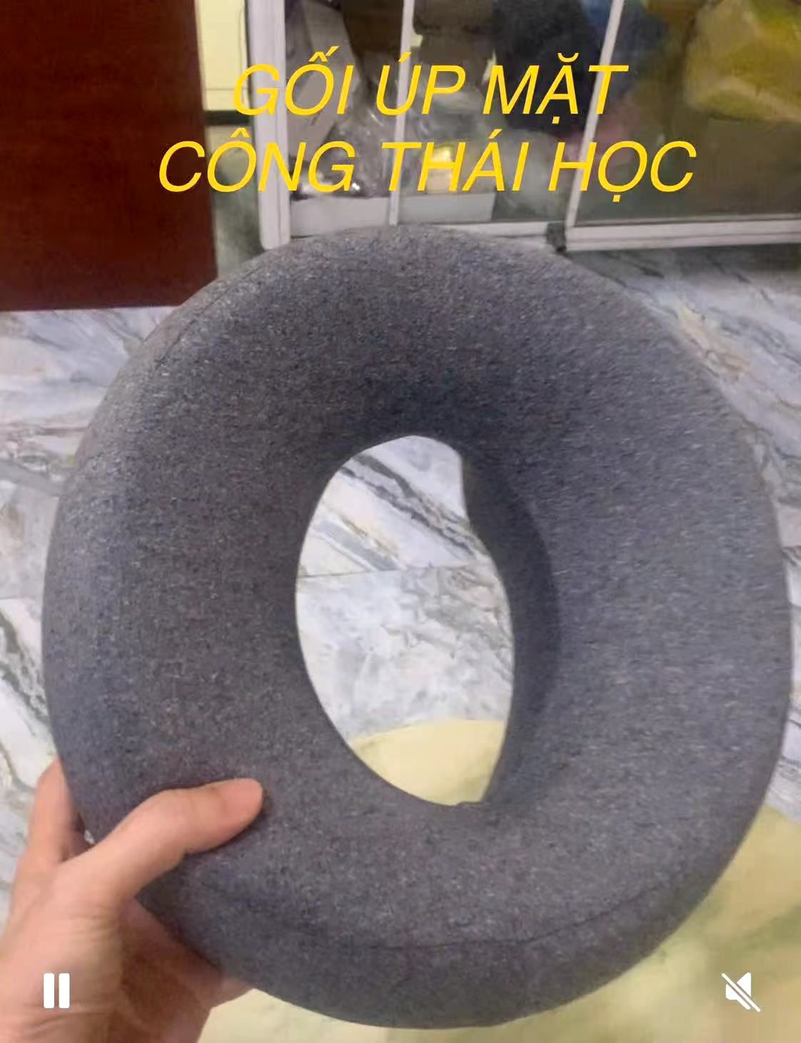 GỐI ÚP MẶT CÔNG THÁI HỌC
